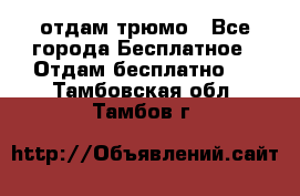 отдам трюмо - Все города Бесплатное » Отдам бесплатно   . Тамбовская обл.,Тамбов г.